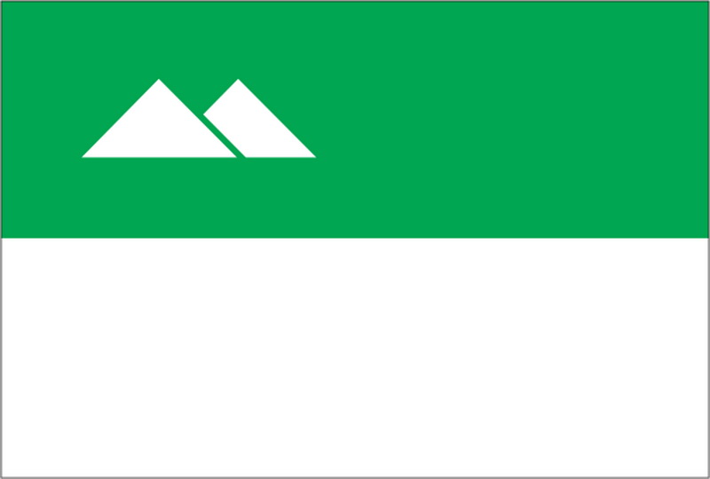 Флаг города Кургана.
